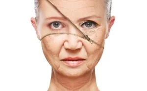 Skin Aging