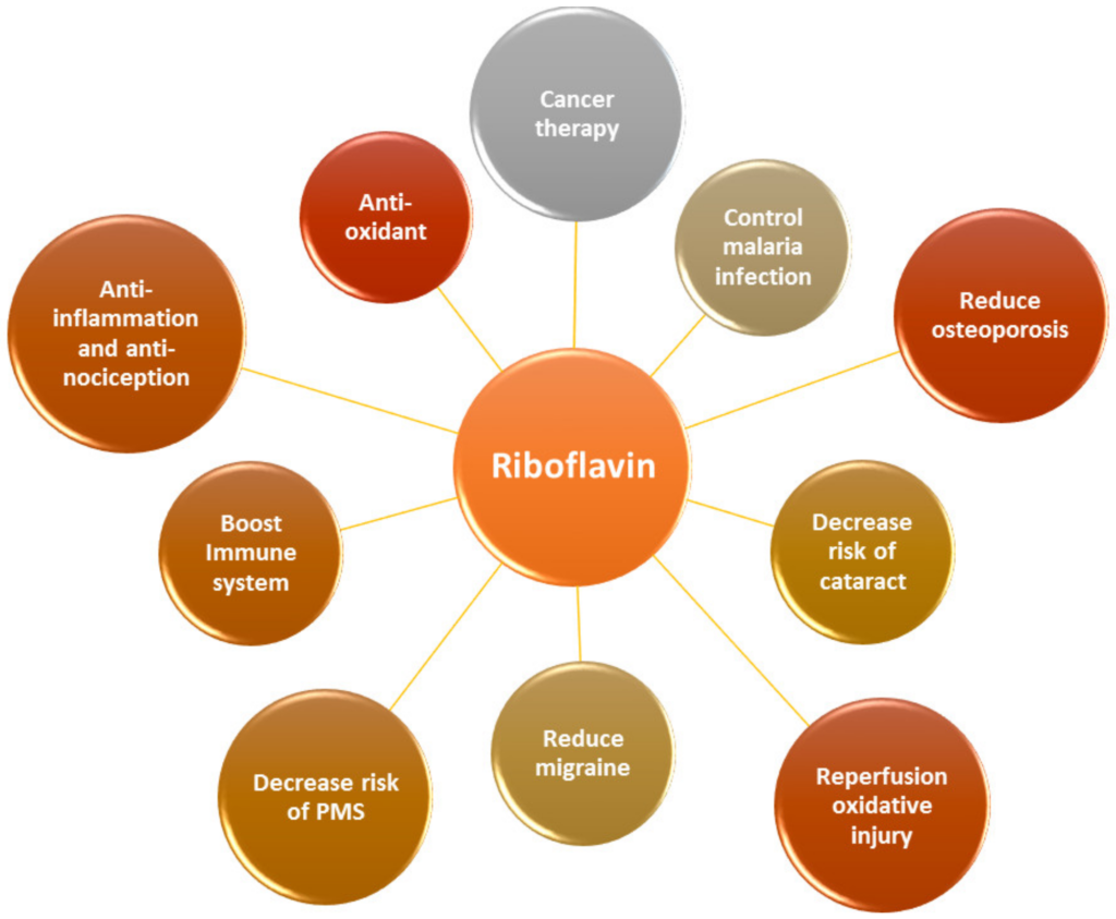 Health benefits of Riboflavin