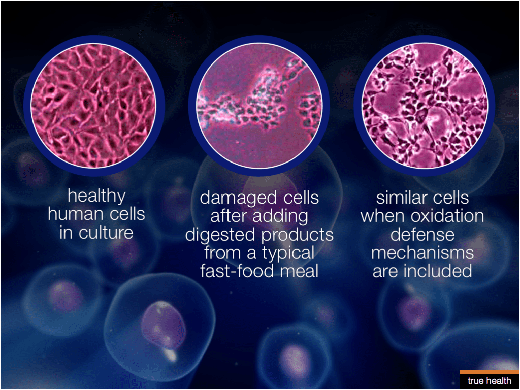 cellular nutrition