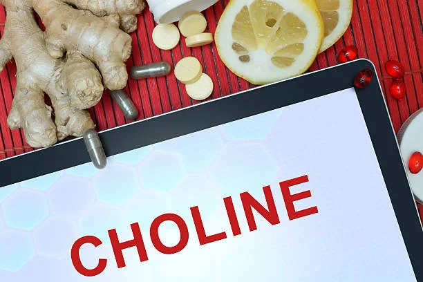 choline an essential nutrient