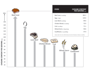 Choline Deficiency in Chronic Illness