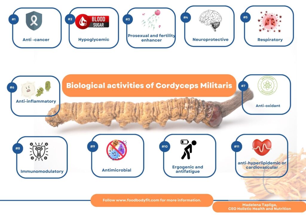 Cordyceps Mushrooms And Female Fertility