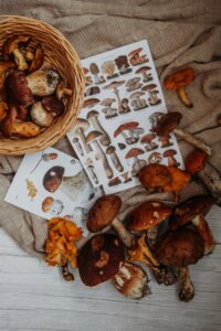 medicinal mushrooms and diabetes