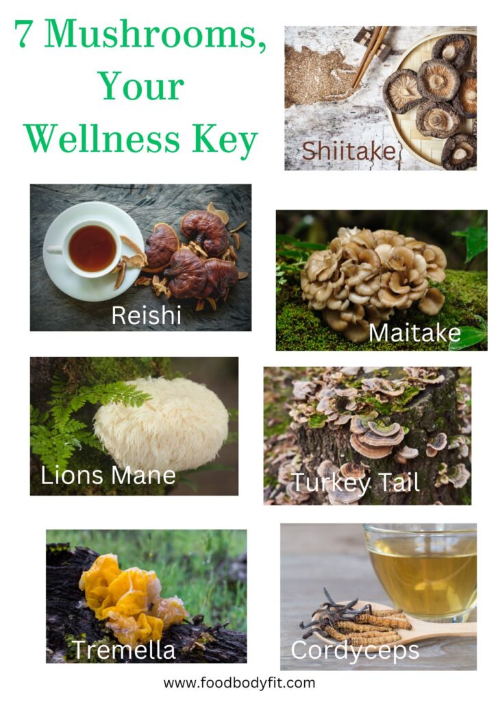 Elixir of Life 7 medicinal mushrooms