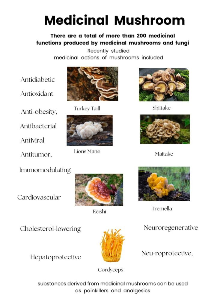 which mushrooms are best for you