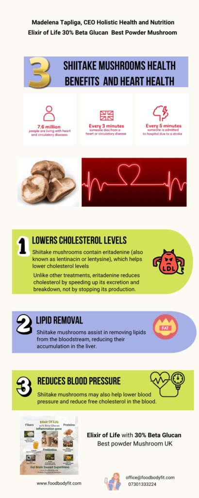 best shiitake powder Infographic