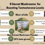 mushroom testosterone booster