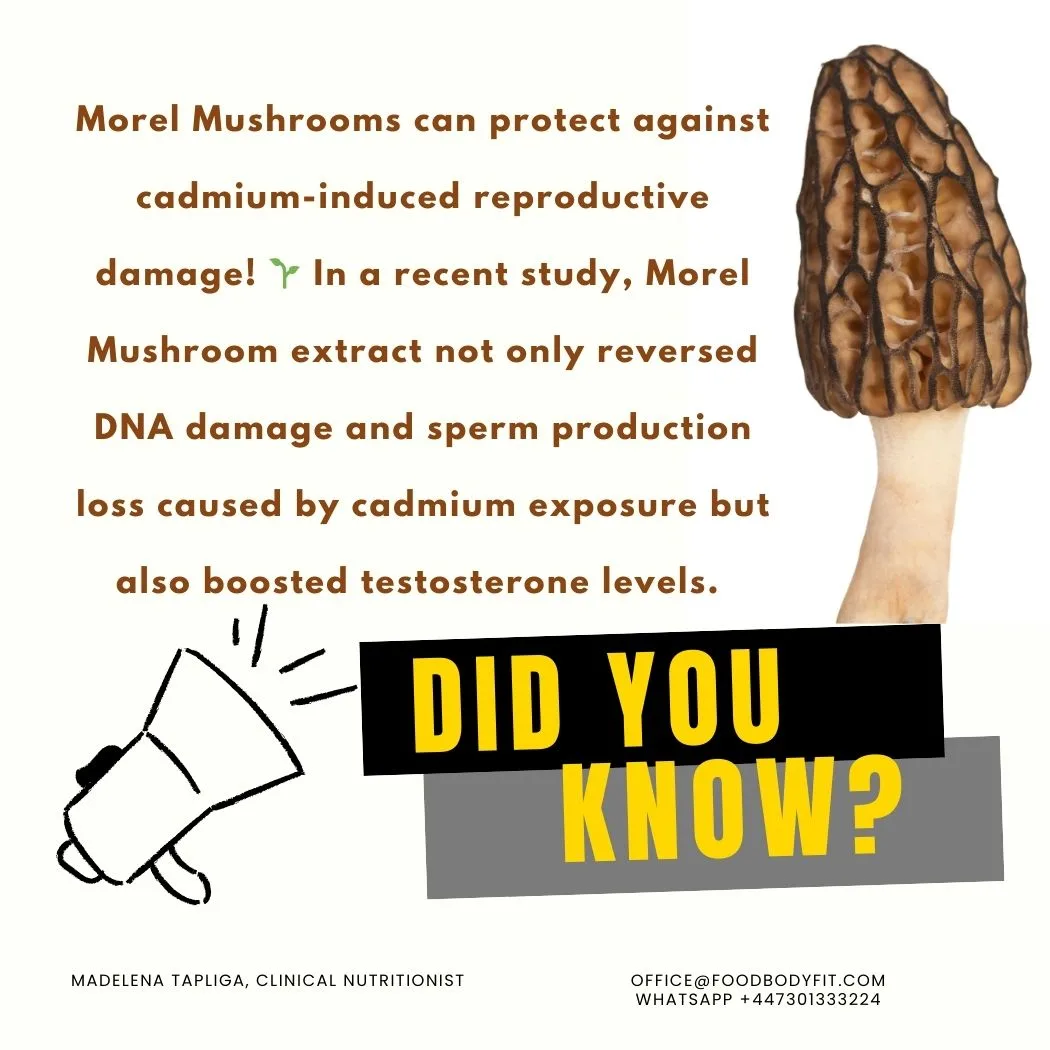 which mushroom increases testosterone