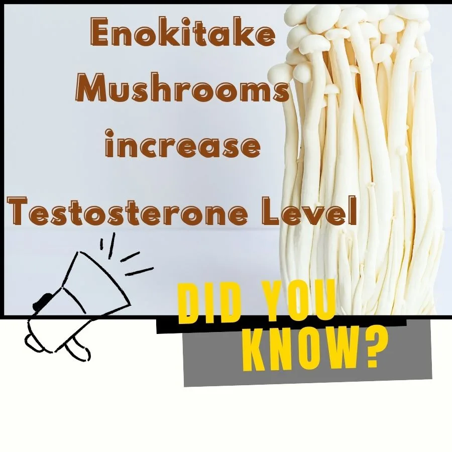 enokitake mushroom benefits